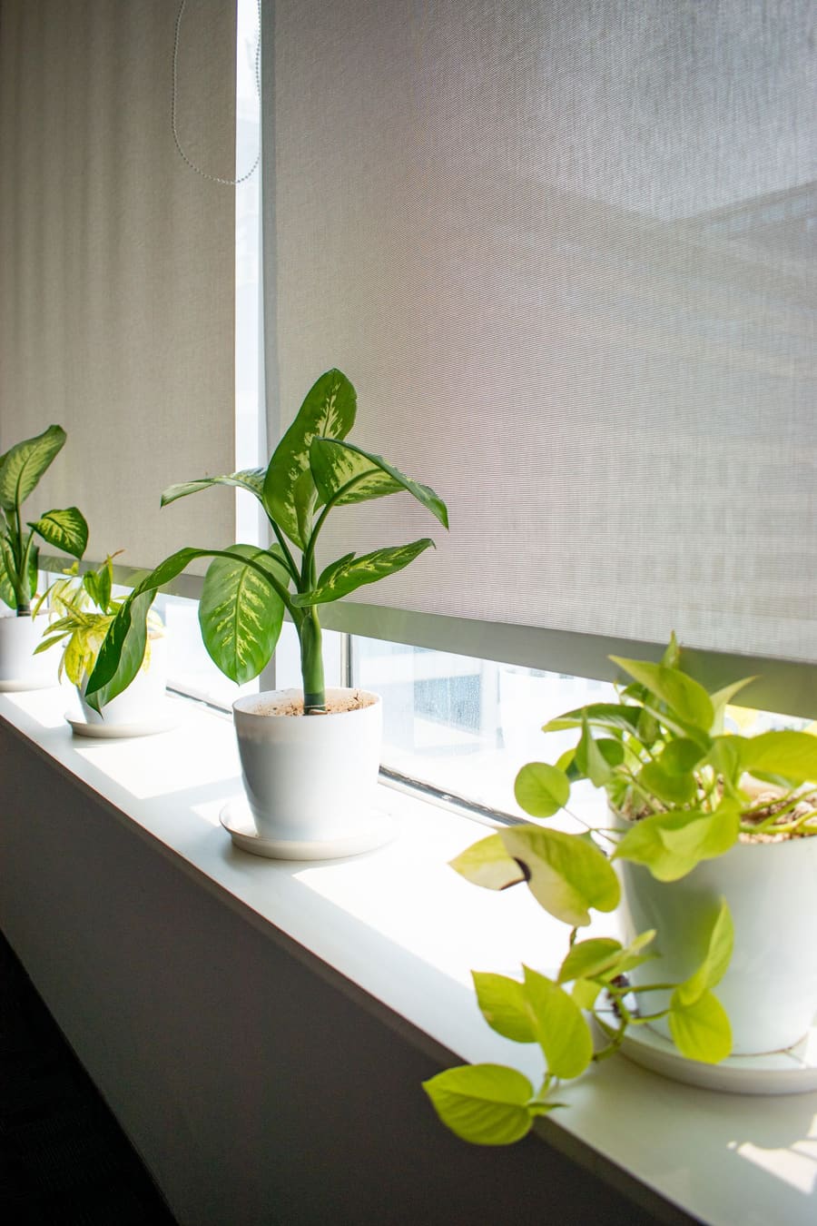 Light-filtering roller shade